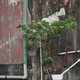 Illustration for article titled These post-apocalypse images of Hong Kong are actually real photos